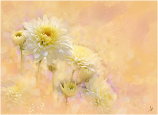 794008 (a): :3000x2186